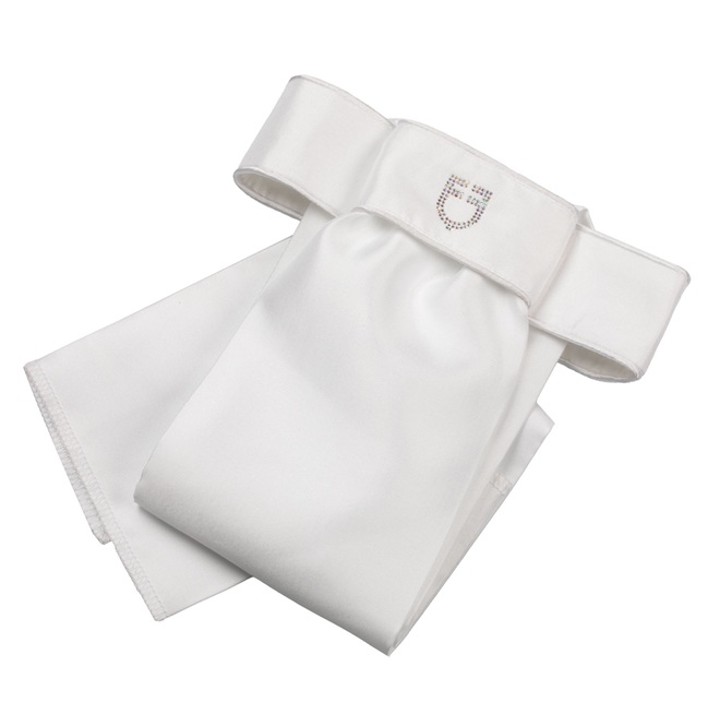 PLASTRON EQUESTRO STRASS Cravatte & Plastron 